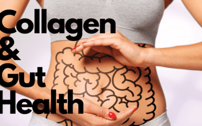 Exploring the Role of Collagen in Gut Health: How Does Collagen Help Heal Your Gut?