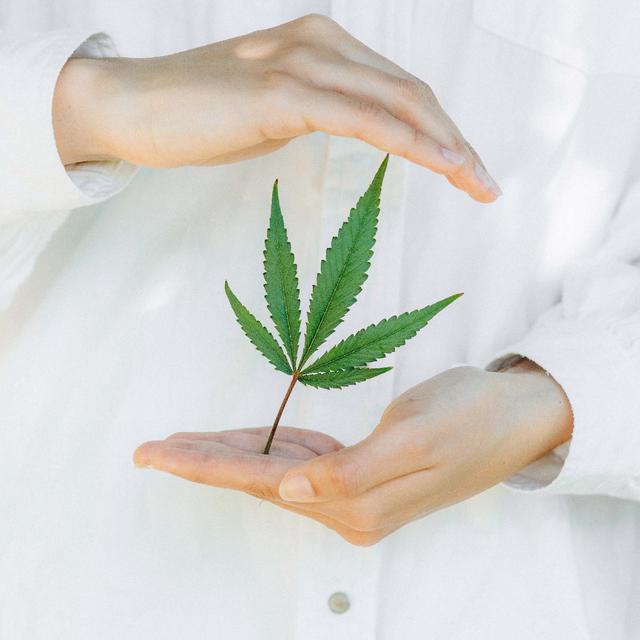 Tranont's Suthe Whole Flower Hemp CBD fluid all plant no additives Suthe Whole Flower Hemp CBD by Tranont. www.DigestiveRepair.com whole Flower CBD drops all plant no additives
